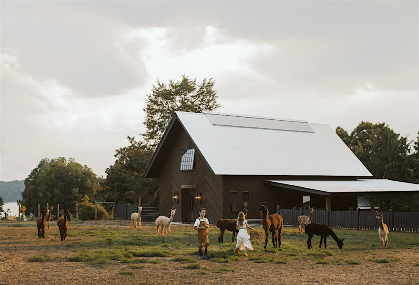 Music & Me: At The Farm x Holl & Stone Farms