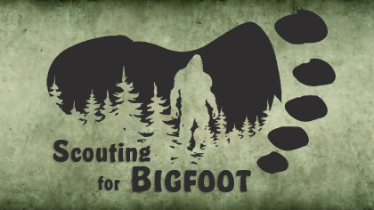 Scouting for Bigfoot: A Family Forest Adventure
