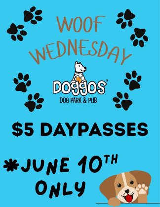 Woof Wednesday at Doggos