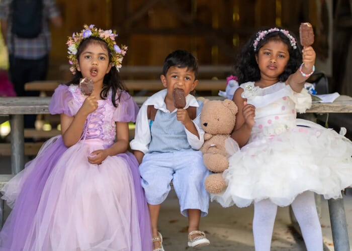Pickering Fairy Tour