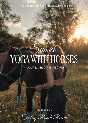 Sunset Yoga with Horses