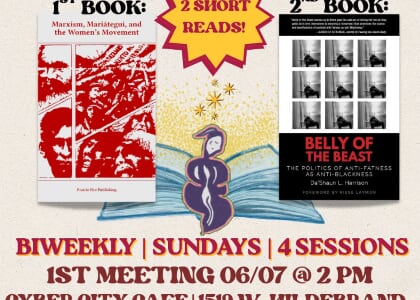 Bodily Autonomy Summer Book Study
