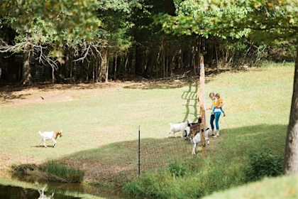 Music & Me: At the Farm x Old Mill Farm