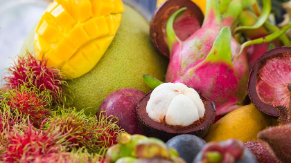Botany for Botanical Illustration: Tropical Fruits