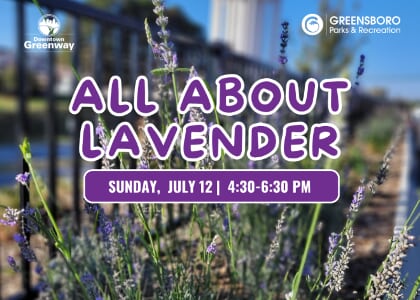 All About Lavender