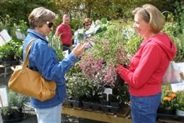 Lewis Ginter Fall Plant Sale