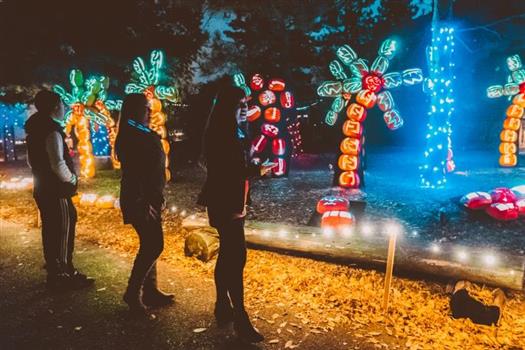 Pumpkin Nights - Colorado Daily Events