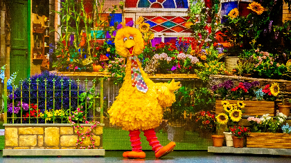 Elmo's Got the Moves