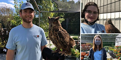Birds of Prey for Father's Day at Piedmont Feed & Garden Center