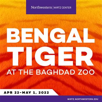 Bengal Tiger At The Baghdad Zoo Daily Herald Calendar