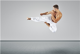 Adult Karate Lessons