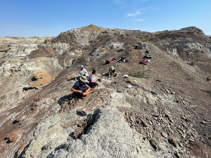 Dino Dig Live