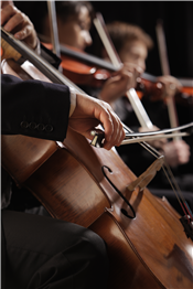 Chamber Orchestra Concert