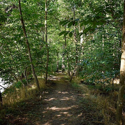 Let's Go Orienteering