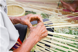 Youth Basketry