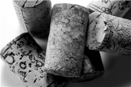 Art of Wine | Comparing French & Virginian Wines