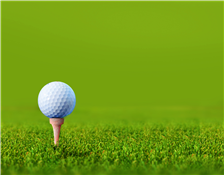 Fore the Fun Golf Scramble
