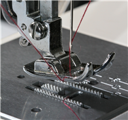 Adult Sewing