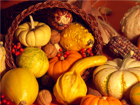 Grow Ogden Fall Farm Festival & Bake Sale
