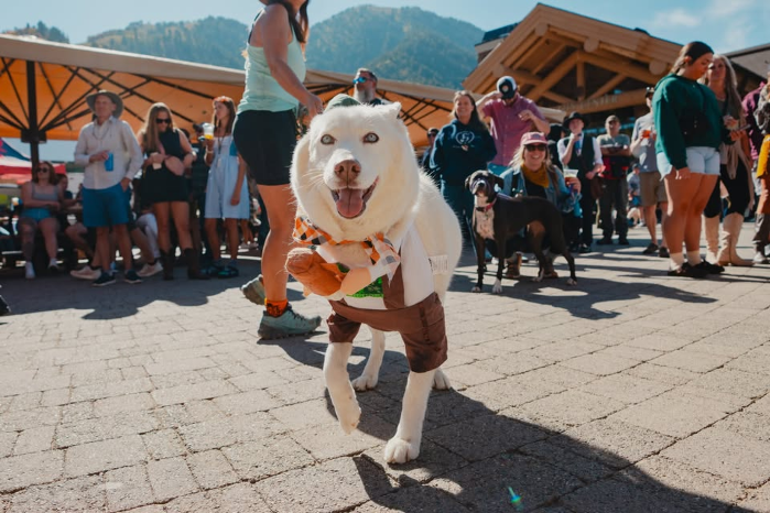 SnowWiesn DOGTOBERFEST