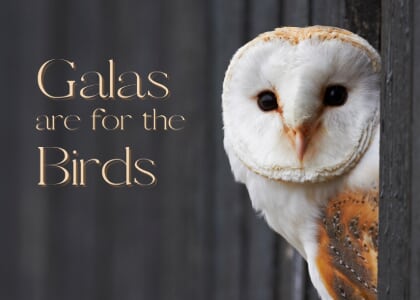 Galas Are for The Birds