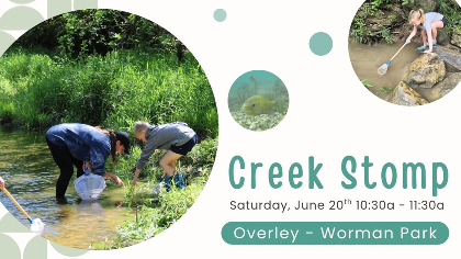 Creek Stomp!