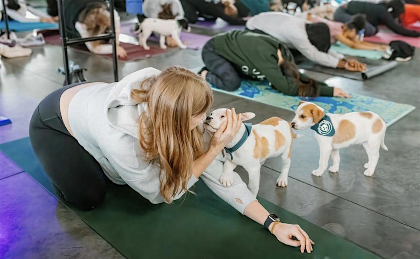 Puppies and Pilates with Halfway There Rescue