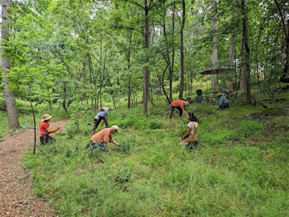 Stewardship Workday: Trails and Trash at Blue Indigo Preserve!