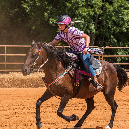 CCFA Horse Show