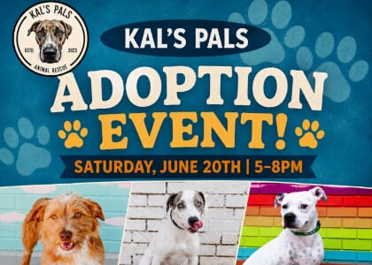 Kal's Pals Adoption Event