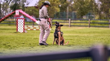 Bingo Fundraiser for K9s