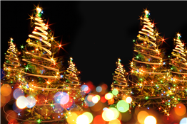 Ribbon Cutting - Festival of Trees