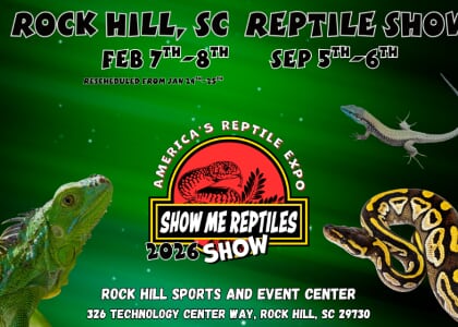 Roch Hill Reptile Show