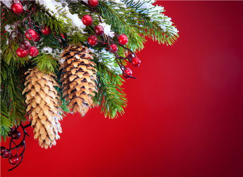 Christmas Illuminations at Mount Vernon