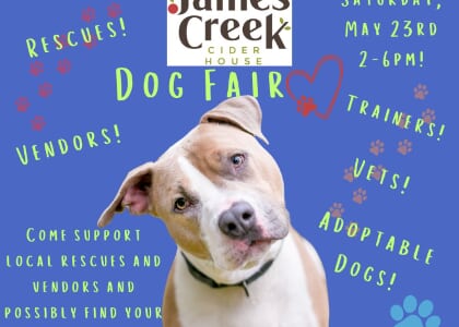 Second Annual Dog Fair at James Creek