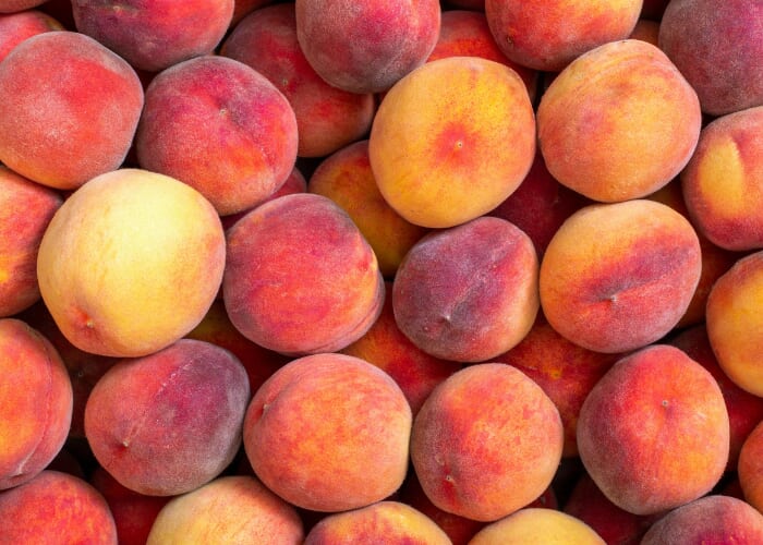 One Book One Community: Book Discussion with Tagge's Famous Fruits