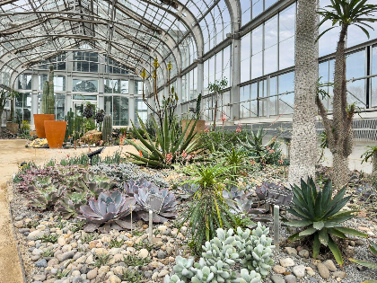 WORLDS UNDER GLASS: DESERT TO RAINFOREST TOUR: AUGUST 18