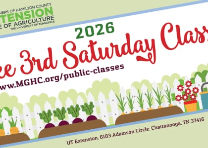 MGHC: Free Gardening Class -- Grow Bucket Gardening