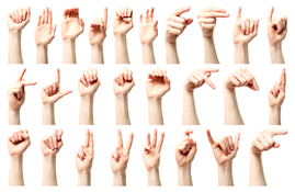 American Sign Language Basics