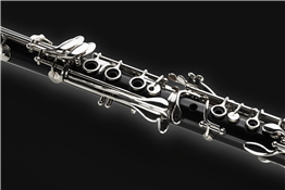 Farhad Ebadollahi, graduate flute recital