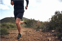 DINO Trail Run