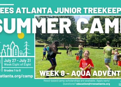 Junior TreeKeeper Summer Camp 2026 - Aqua Adventures