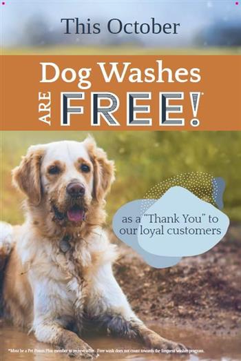 pet valu dog id tags