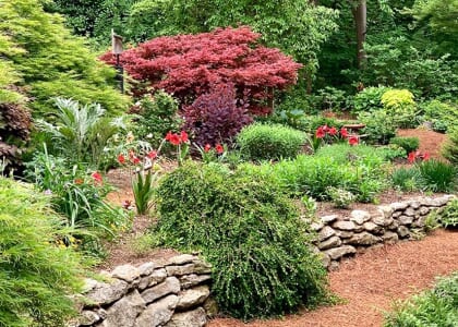 The Art and Science of Plant Care