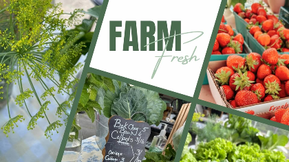 Mocksville Farmers' Market