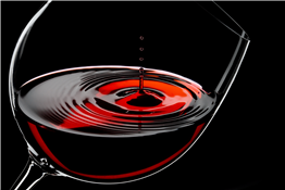 Venture to the Vineyards