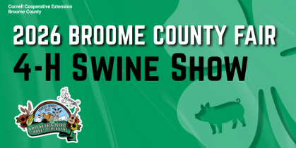 4-H Swine Show