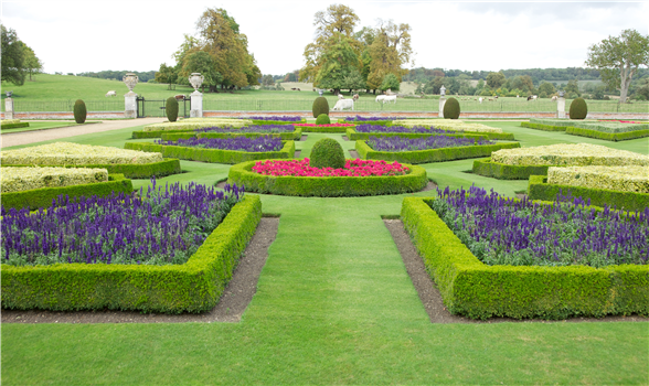 Butterflies in the Garden
