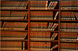 Social Services @ the Library
