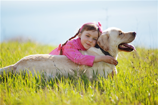 Rabies & Microchip Clinic